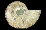 Cut & Polished Ammonite Fossil (Half) - Madagascar #166818-1